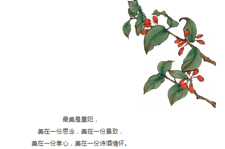 重阳节 | 是时候和父母回家聚聚了 重阳节 | 是时候和父母回家聚聚了